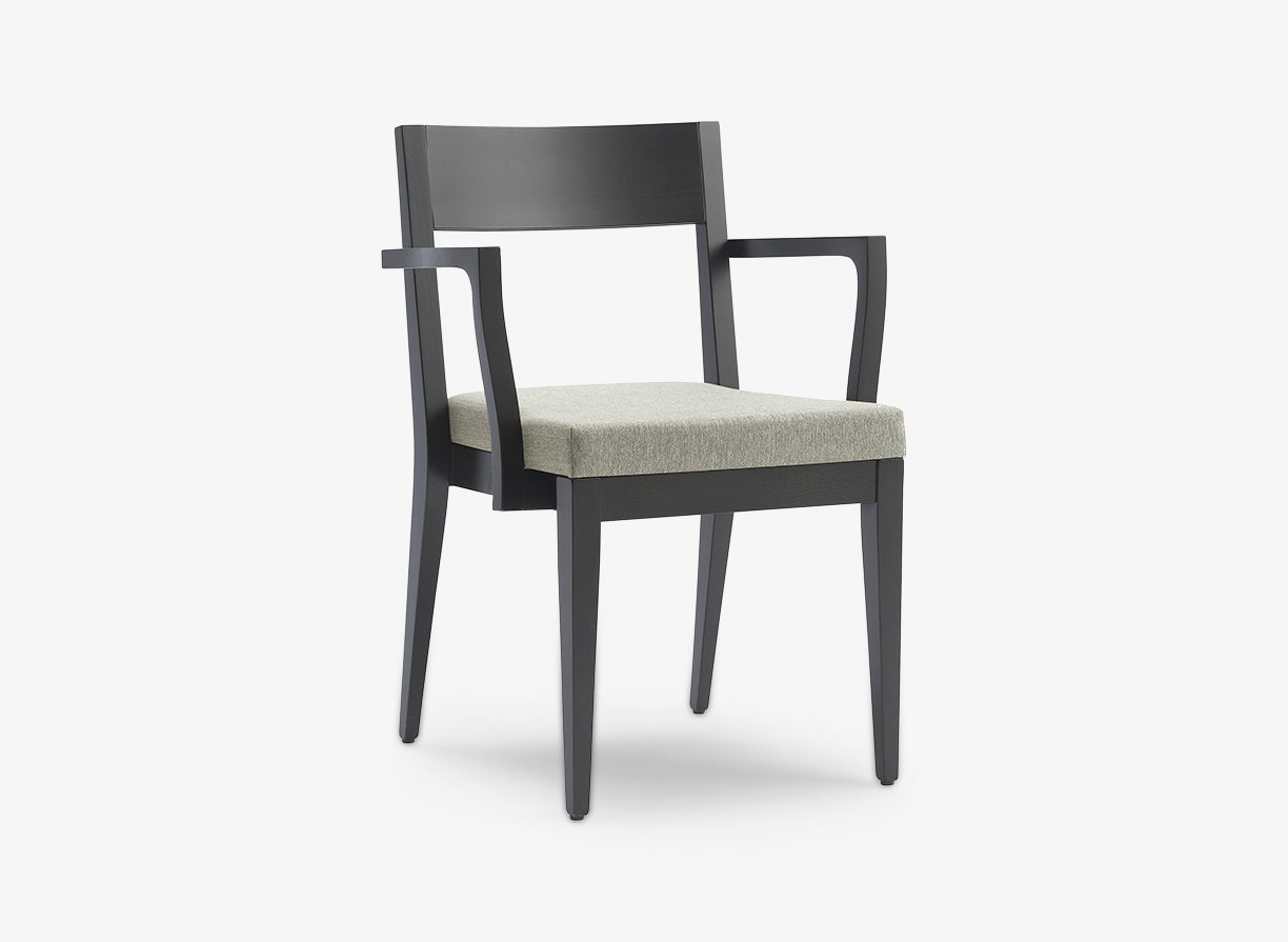 Aloe Dining armchair