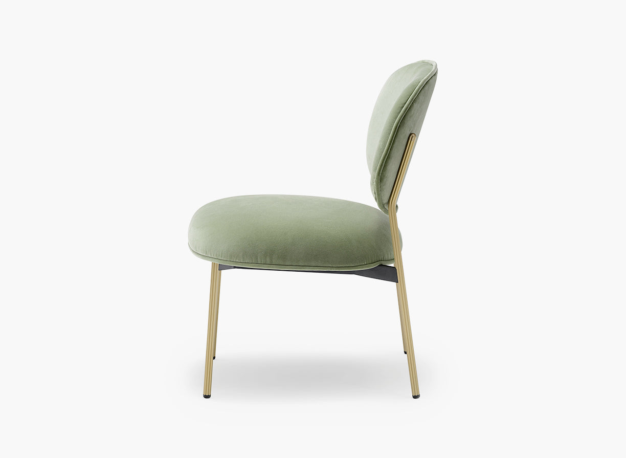 Blume 2951
